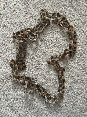 Chico's Tortoiseshell-Link Long Necklace and Earrings Set - Brown and Gold Tones